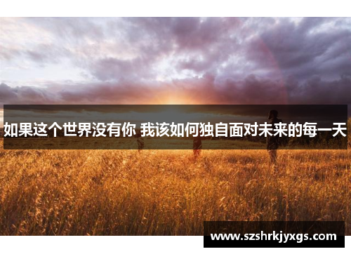 如果这个世界没有你 我该如何独自面对未来的每一天